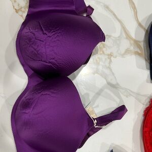 Cacique Vibrant Purple Bra